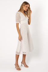 Elegant Dress