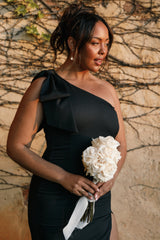 Elegant Dress