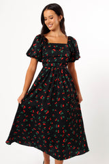 Elegant Dress
