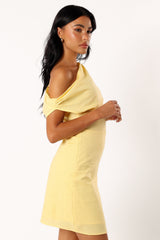 Elegant Dress