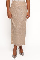 Elegant Dress