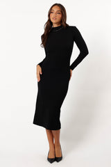 Elegant Dress
