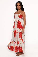Elegant Dress
