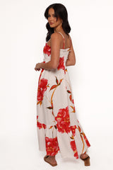 Elegant Dress