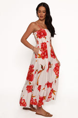Elegant Dress