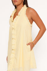Elegant Dress