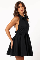 Elegant Dress