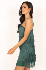 Elegant Dress