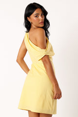 Elegant Dress