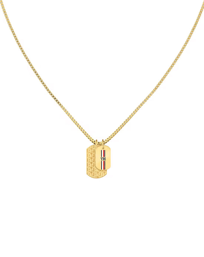 Tommy Hilfiger Erkek Kolye THJ2790211